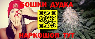 сатива Канаш